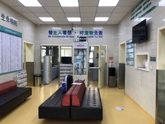 -瑞派天宁宠物医院·猫科·异宠中心
