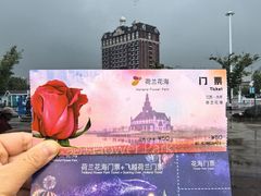 -荷兰花海