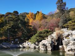 -香山公园
