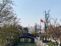 -广富林郊野公园
