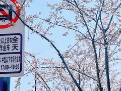 -蜀冈西峰生态公园