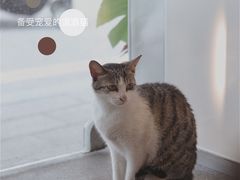 -MQ COFFEE STAND明谦(新洲店)