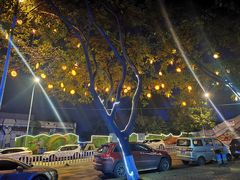 -舒小笼松针小笼包