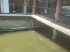 -浙江省博物馆(孤山馆区)