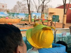 -秦皇岛野生动物园