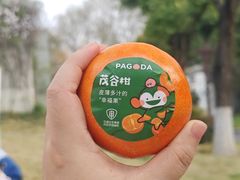 -堤角公园