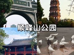 -顺峰山公园