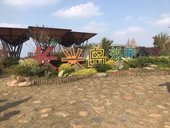 -上海长兴岛郊野公园