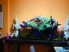 -域SPA·足疗·按摩·养生(静安寺店)