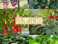 -上海山野camping·户外天幕烧烤·团建拓展营地