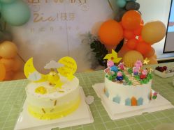 -明宇集团·积木枝芽母婴健康管理中心(天府店)