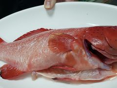 -光头匠