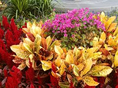 -大兴滨河森林公园