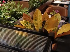 -半秋山西餐厅(巴南万达广场店)