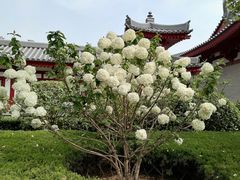 -大慈恩寺(大雁塔)
