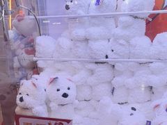 -可爱抓 COCO  GOTCHA(天津鹏欣水游城店)