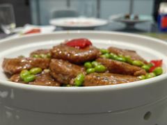 -丁老爷子苏香圆