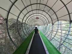 -石台牯牛降景区