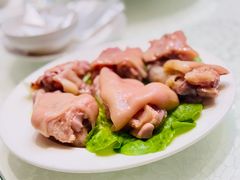 -丁老爷子苏香圆