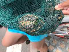 -青岛银沙滩