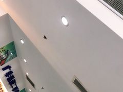 -上海和展广汽丰田4S店(老闵行店)