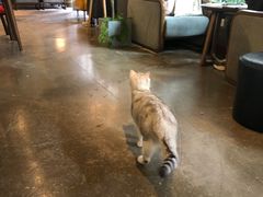 -咖法森林·咖啡  酒吧(天河店)