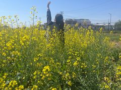 -千龙湖生态旅游度假区