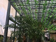 -阿鹏故事云南野生菌火锅(人民路店)