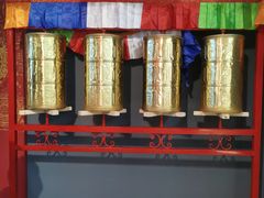-广东中医药博物馆