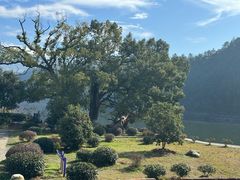 -新安江山水画廊风景区