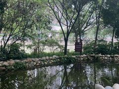-成都市活水公园
