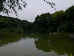 -厦门悦华酒店