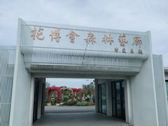 -东平国家森林公园