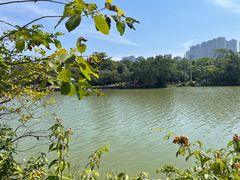 -广西壮族自治区药用植物园
