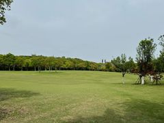 -上海吴淞炮台湾国家湿地公园