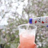 樱花季怎么少得了嘉士伯1664桃红啤🥂