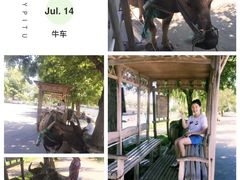 -杭州双溪漂流景区