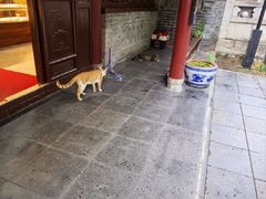 -万寿八仙宫
