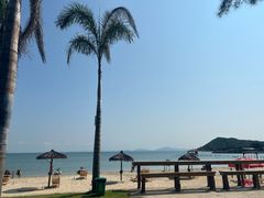 -汕尾风车岛