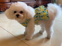 -乐琪宠物(青塔西路店)