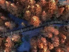 -桤木河湿地公园