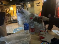 -白兔子密室(长寿路店)