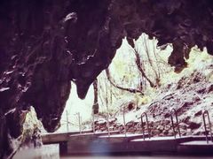 -怀托摩萤火虫洞