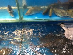 -卜蜂莲花(杨高南路店)