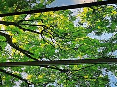 -水云空涧·沐足·采耳·按摩·SPA影院(琶洲店)