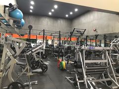 -健身专家Wellness Experts