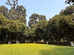 -张坝桂圆林公园