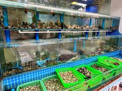 -富临港·蒸汽海鲜·手抓海鲜·炒菜(栈桥店)