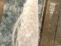-孔雀云贵川·融合菜(长宁来福士店)