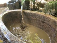 -100蛋泥浆浴